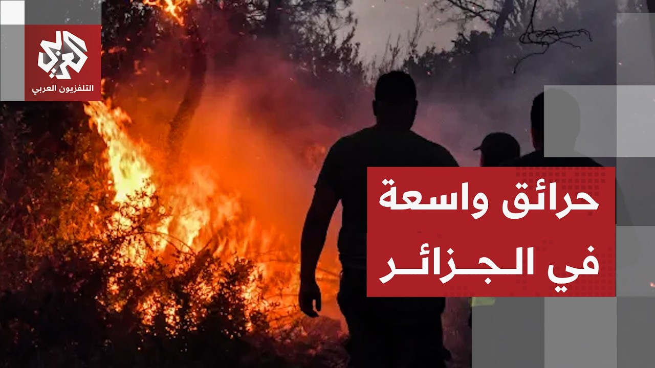 عشرات الحرائق في الجزائر بسبب موجة الحرارة القياسية التي تضرب البلاد