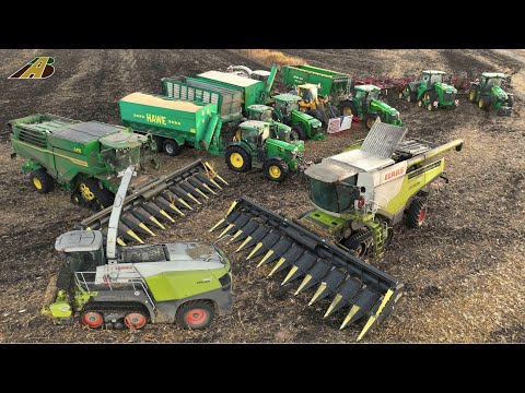 Maisernte in Polen - Körnermais dreschen, Maisstroh häckseln 10 Mähdrescher, Häcksler u. Traktoren