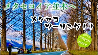 【2nd】メタセコツーリング！! (1)