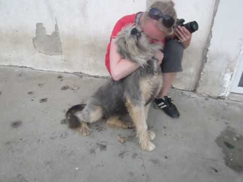 Cosmina, 6.7.2017, Onevet Cosoba