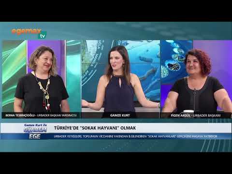 11 HAZİRAN GÜNDEM EGE