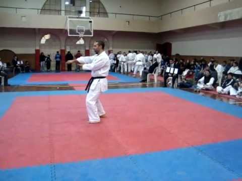 Torneo Metropolitano 2011