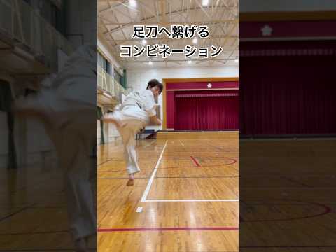 琉球空手道コンビネーション足刀蹴り#琉球空手#沖縄空手 #空手 #空手道 #karatedo #karate #技紹介 #martialarts #武道 #トレーニング #突き技 #格闘技