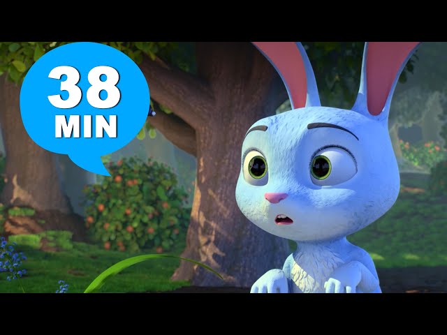 Vídeo relacionado con Channo Braguitas de Algodón Niña con Dibujos de Conejitos (Pack de 3) (Conejitos, 10-12 años)