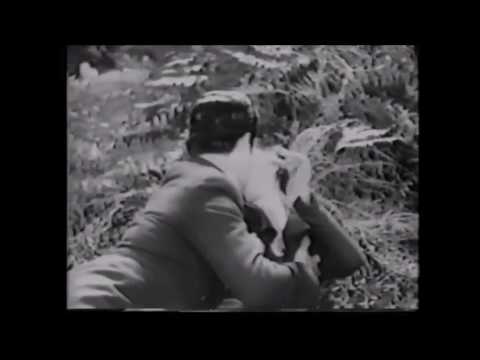 the shepherd serenade (Ramon Novarro) Devil-May-Care 1929