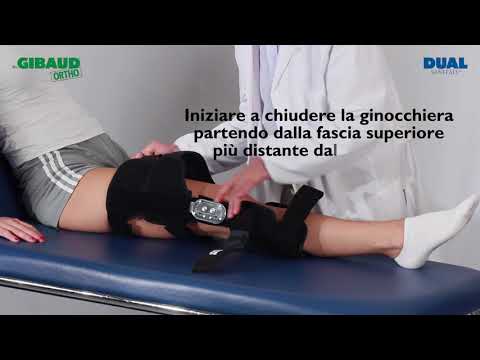Genugib Dr. Gibaud
