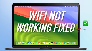 How To Fix Macbook Not Connecting To Wifi in 3 Minutes!