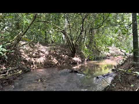 4 ALQUEIRES | CROMINIA GO | 1.900.000,00