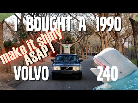 I said I wouldn't buy another Volvo 240...