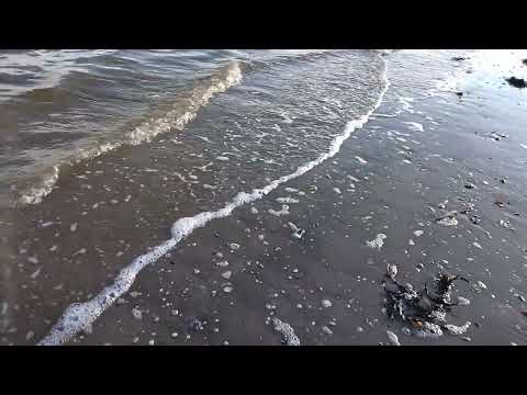 rathmullan beach walk 2023 02 25, Deák János