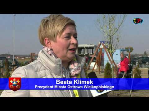 MIEJSKIE OBCHODY ŚWIĘTA DRZEWA