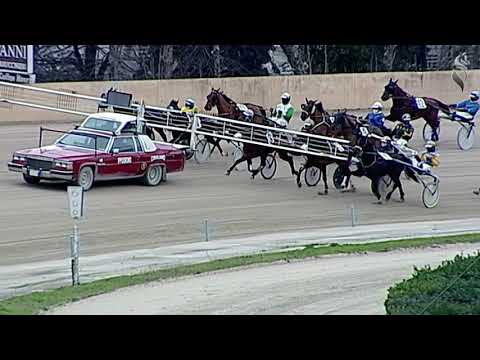 Aversa trotto 20 Gennaio 2021 - 3° Corsa