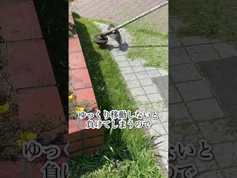 日曜日の草刈りは禁止ですか？規制には何と記載されていますか?芝生の手入れはいつ行うべきですか?  庭園