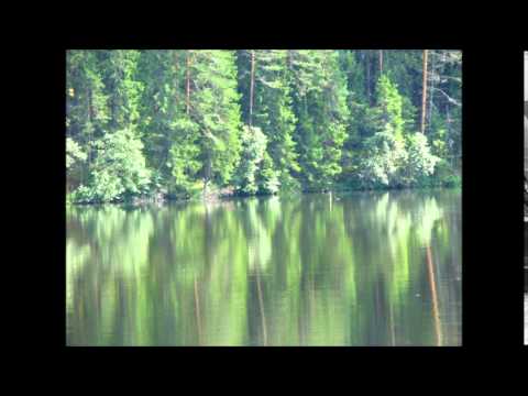 Lahkumislaul - Kalju Terasmaa