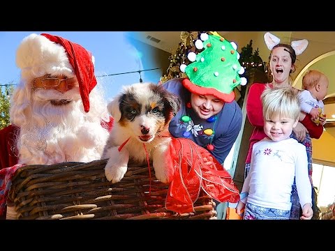 CHRISTMAS PUPPY SURPRISE! - SANTA CAUGHT ON CAMERA- Daily Bumps Christmas Special 2016! Video