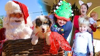 CHRISTMAS PUPPY SURPRISE! - SANTA CAUGHT ON CAMERA- Daily Bumps Christmas Special 2016!
