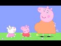 Baby Peppa Pig and Baby Suzy Sheep! | Peppa Pig Official Family Kids Cartoon