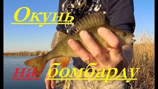 Рыбалка на бомбарду принципы порядок настройки снастивы