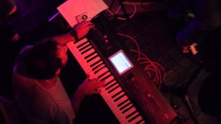 The Traveling Harmonica - Novi Sad, Serbia