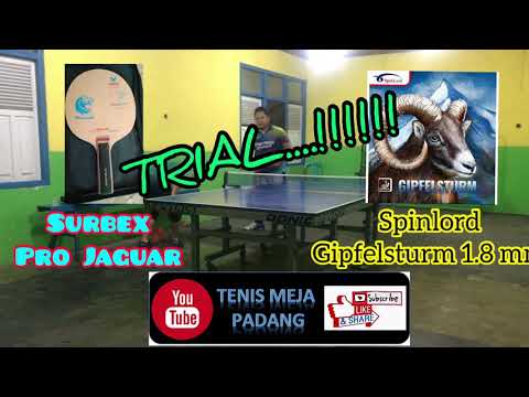 Bintik Semi Ajib Nih....!!!! SPINLORD GIPFELSTURM 1.8 mm Medium Pips Rubber