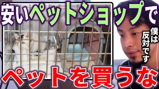 - 【ひろゆき】安いペットショップでペットを買わないで下さい。僕は反対です【切り抜き ひろゆき切り抜き 論破 西村博之 hiroyuki】