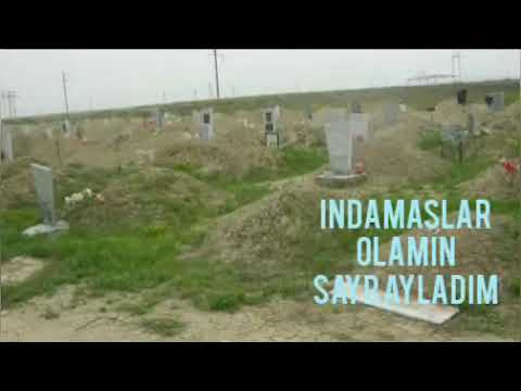 INDAMASLAR OLAMIN SAYR AYLADIM