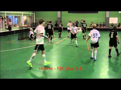 08 02 2015 HirvHe - FBC Dux MAALIKOOSTE