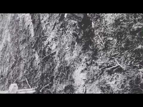 SABES QUE ES PA TI & Freestyle movie 🍿 (El Pirata Del Trap) TIRADERA  Sayan Flow ⚠️