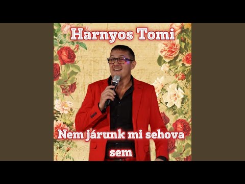 Nem járunk mi sehova sem