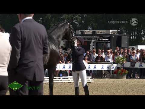 Secret - Gestüt W.M. 2018