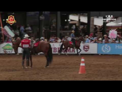 Catitó Zíngaro, Campeão de Marcha e Res. Categoria Cavalo Master - Nacional 2017
