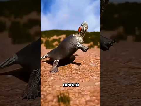 🐢 Почему черепаха не может вылезти из своего панциря? 😱