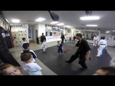 Young Champions of Mixed Martial Arts