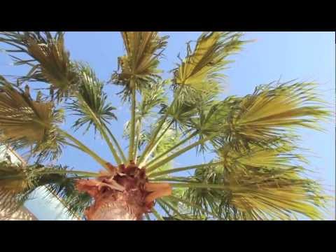 Evergreen by Haya Al-Thani