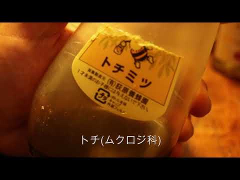 ミツバチの好きな花のリスト: 花粉媒介者を引き寄せる 20 以上の蜂蜜植物!  庭園