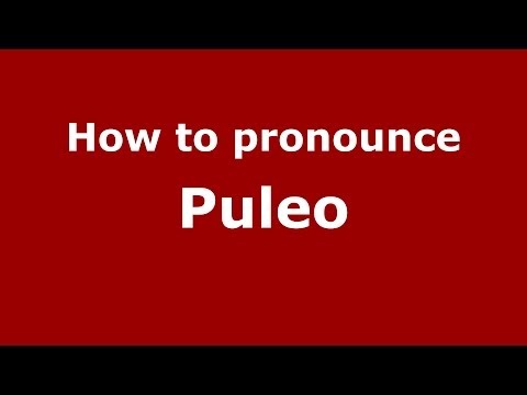 How to pronounce Puleo (Italian/Italy) - PronounceNames.com
