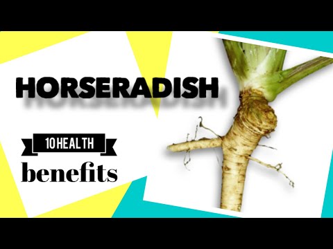 , title : '10 Health Benefits of Horseradish | Herbal Medicine