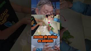 A BRUTAL VIDA DOS ANIMAIS NA NATUREZA #richardrasmussen #animais #natureza #papagaio