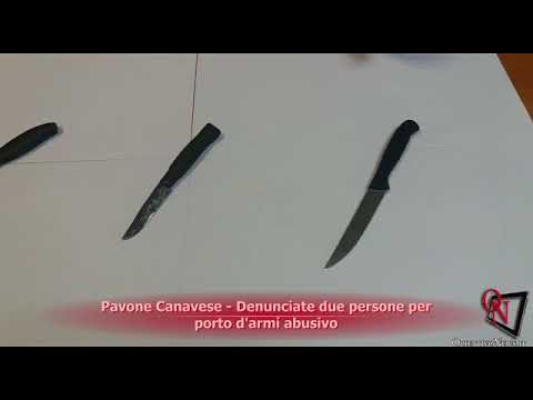 Pavone Canavese - Denunciate due persone per porto d'armi abusivo