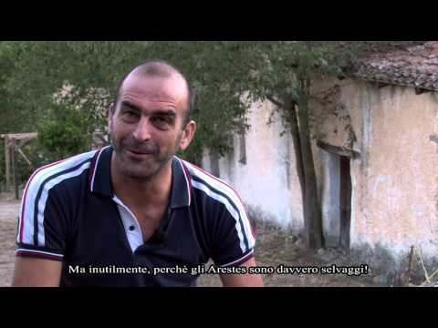 In su coro d'ennarzu - Trailer documentario