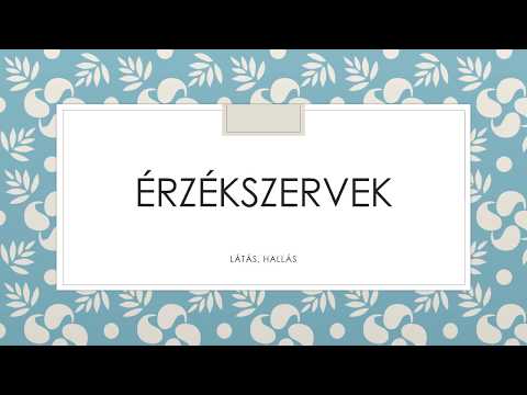 A látásszűrés az, Mi történik egy látásvizsgálaton?