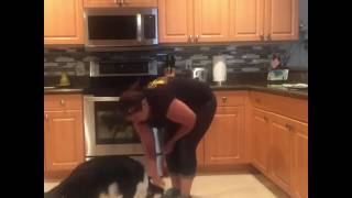 Training Luna to Drop it
