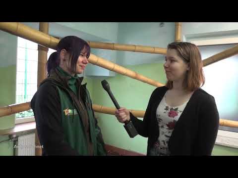 Senftenberg: Tierisches aus der Lausitz - LAUSITZWELLE