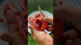 Download lagu Jannat..☘️🦋🕊️||#shorts#trending#islamicdua mp3