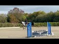 Magnifique jument de 6 ans +- 1m68
