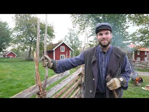 Gärdsgårdsbygge på Åsens by