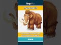 mammoth - a very large, furry, extinc... video thumbnail