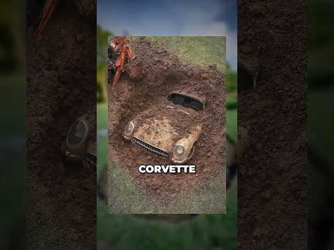 3 Crazy Things Found In Backyards #shorts