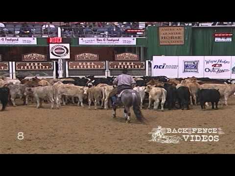 Metallic Cat - NCHA Futurity