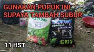 Download lagu Ultradap Mix Humic Acid Booster Fertilizer Method Chanel Oemah Tani TV mp3 Download lagu Ultradap Mix Humic Acid Booster Fertilizer Method Chanel Oemah Tani TV mp3